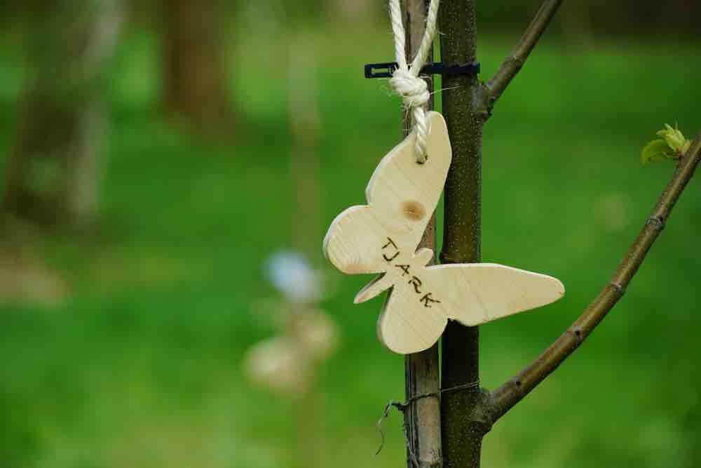 Schmetterlingskinder Sternenkinder-Friedhof Schleswig-Holstein